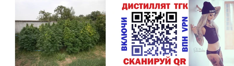 hydra ссылки  Елизово  ТГК THC oil 