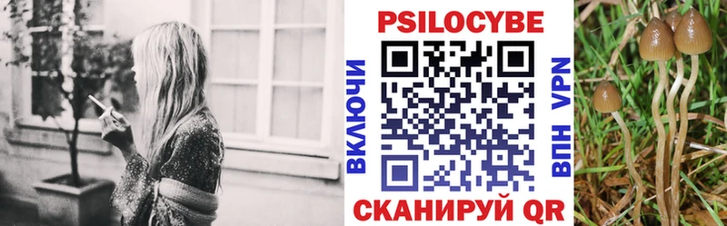 Псилоцибиновые грибы мицелий  Елизово 